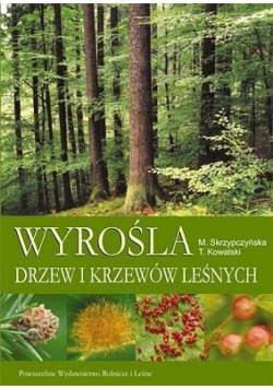 Wyrośla drzew i krzewów leśnych