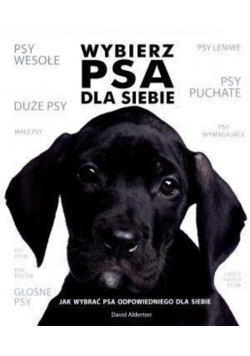 Wybierz psa dla siebie
