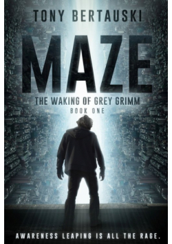 Maze