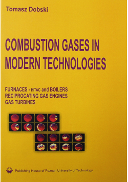 Combustion Gases in Modern Technologies