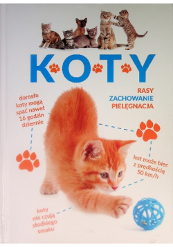 Koty Rasy zachowanie pielęgnacja