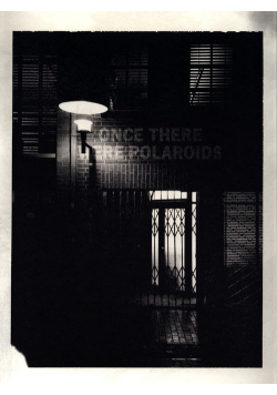 Once There Were Polaroids : Instant Photography at Steidl