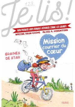 Mission courrier du coeur