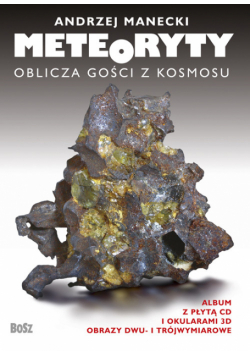 Meteoryty Oblicza gości z kosmosu