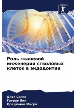 Роль тканевой инженерии стволовых клеток в эндодонтии