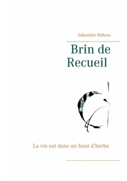Brin de Recueil