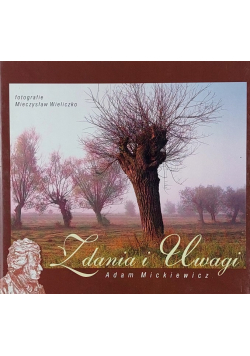 Zdania i Uwagi
