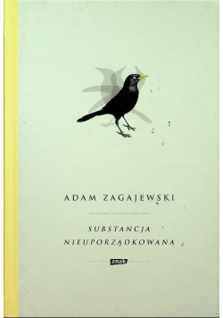 Substancja nieuporządkowana