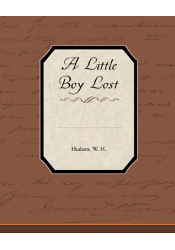 A Little Boy Lost