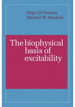 The Biophysical Basis of Excitability