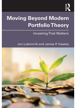 Moving Beyond Modern Portfolio Theory