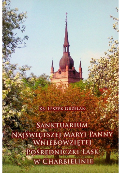 Sanktuarium Najświętszej Maryi Panny Wniebowziętej Pośredniczki Łask
