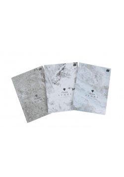Brulion A4/96K kratka Metallic Stone (5szt)