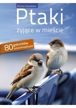 Ptaki żyjące w mieście