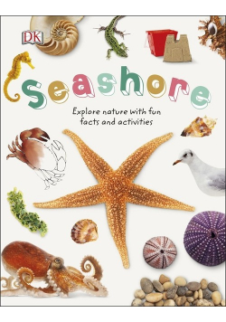 Seashore