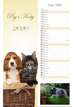 Kalendarz 2020 Psy i Koty 13 planszowy RADWAN