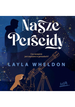 Nasze Perseidy