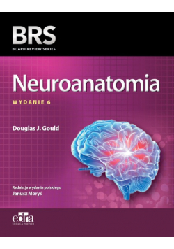 Neuroanatomia BRS