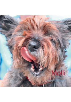 Molli