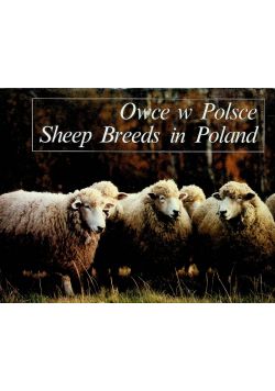 Owce w polsce