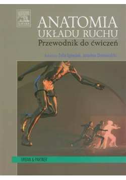 Anatomia układu ruchu