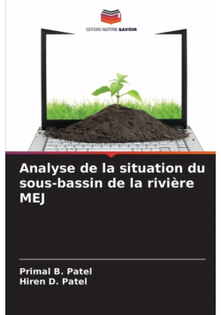 Analyse de la situation du sous-bassin de la rivière MEJ