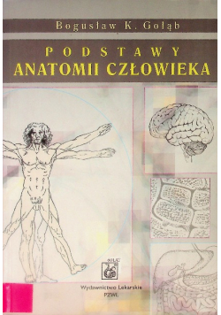 Podstawy anatomii człowieka