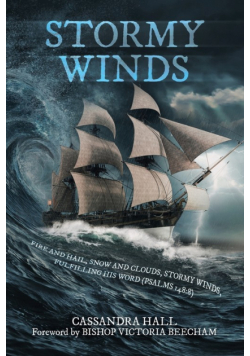Stormy Winds