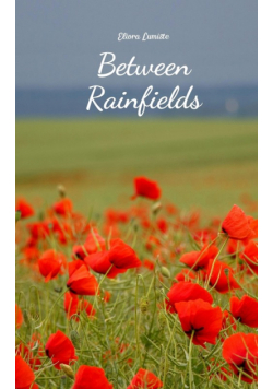 Between Rainfields