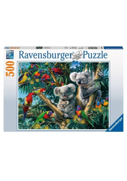 Puzzle 500 Koala na drzewach