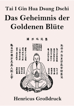 Tai I Gin Hua Dsung Dschi (Großdruck)