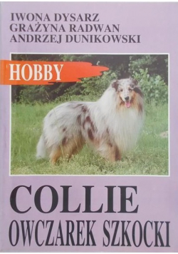 Collie Owczarek Szkocki