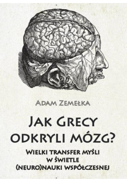 Jak Grecy odkryli mózg? Wielki transfer mysli w świetle (neuro)nauki współczesnej