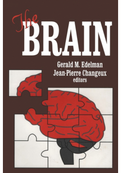 The Brain