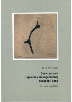 Doświadczam tajemnicy nieodgadnionej pedagogii Boga. Kazania szpitalne