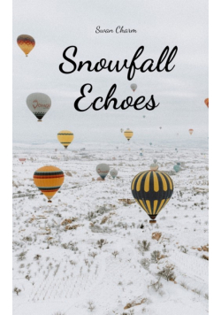 Snowfall Echoes