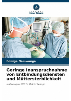 Geringe Inanspruchnahme von Entbindungsdiensten und Müttersterblichkeit