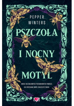 Pszczoła i nocny motyl. Destini Chronicles. Tom 1