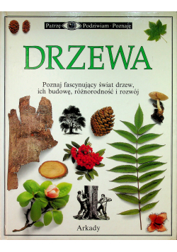 Drzewa