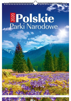 Kalendarz 2020 Wieloplanszowy Polskie PN