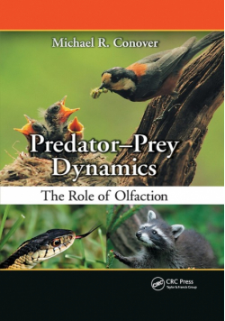 Predator-Prey Dynamics