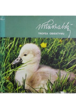 Trofea obiektywu