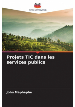 Projets TIC dans les services publics