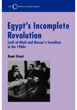Egypt's Incomplete Revolution