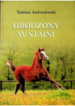 Urodzony w stajni
