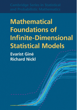 Mathematical Foundations of Infinite-Dimensional Statistical Models