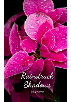 Rainstruck Shadows