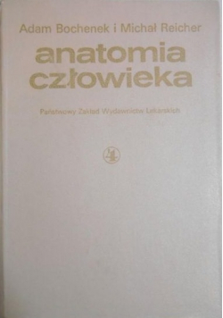Anatomia człowieka