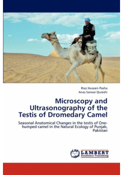 Microscopy and Ultrasonography of the Testis of Dromedary Camel