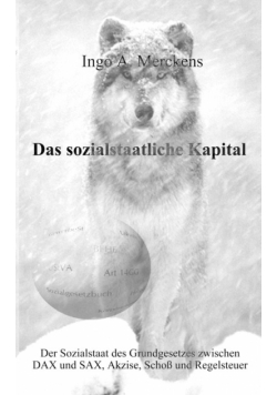 Das sozialstaatliche Kapital